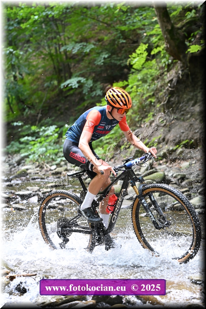 Náhled obrázku: 2025-1694-Celadna-36.JPG