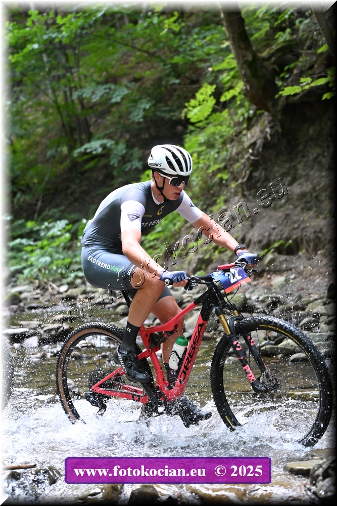 Náhled obrázku: 2025-1697-Celadna-22.JPG