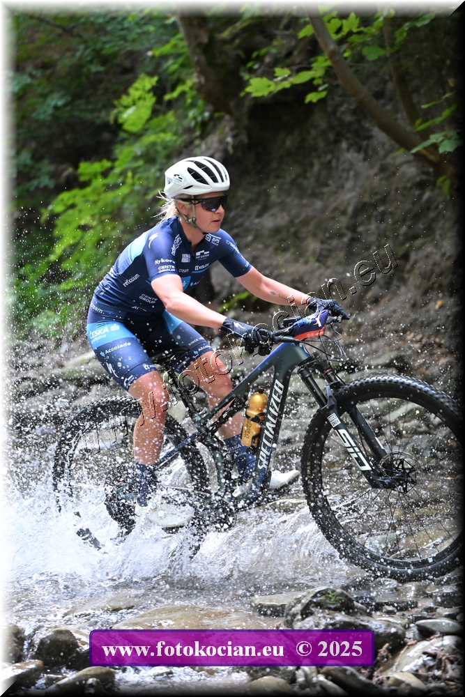 Náhled obrázku: 2025-1743-Celadna-1.JPG