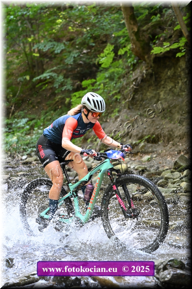 Náhled obrázku: 2025-1765-Celadna-2.JPG