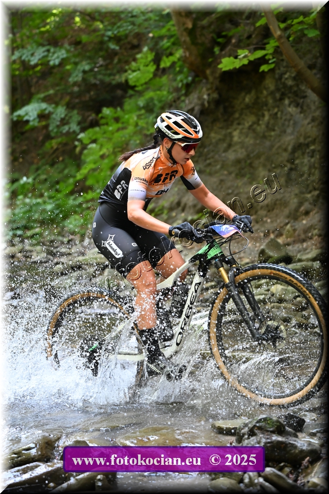 Náhled obrázku: 2025-1783-Celadna-3.JPG