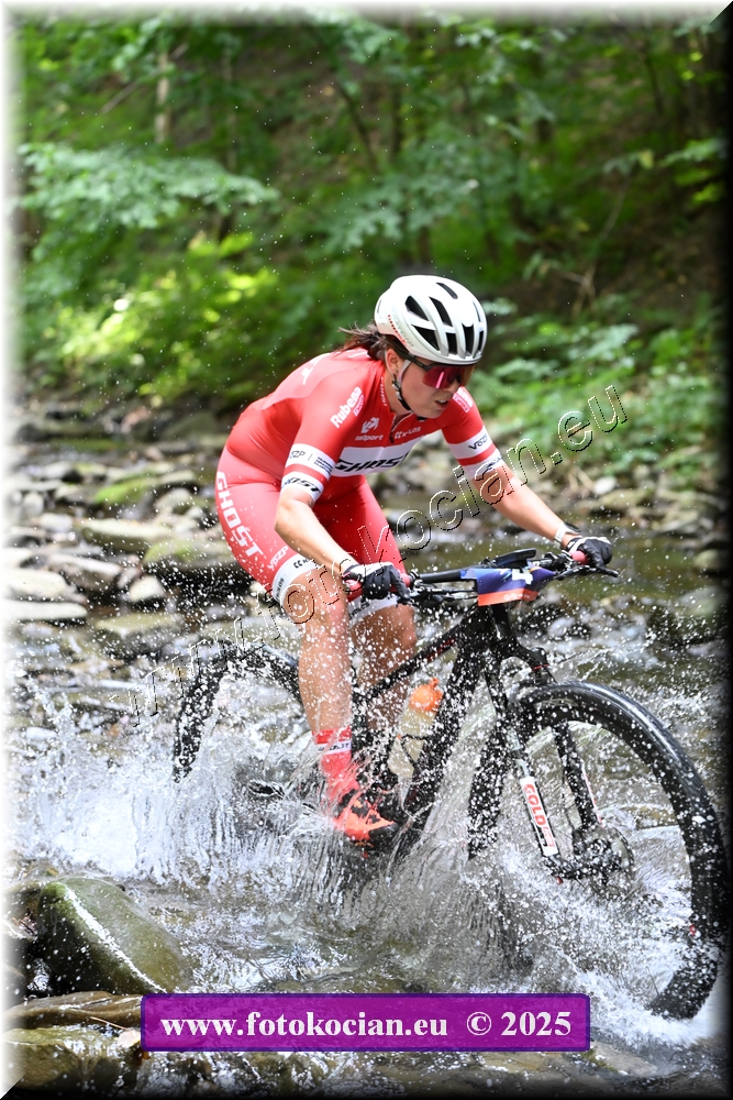 Náhled obrázku: 2025-1819-Celadna-4.JPG