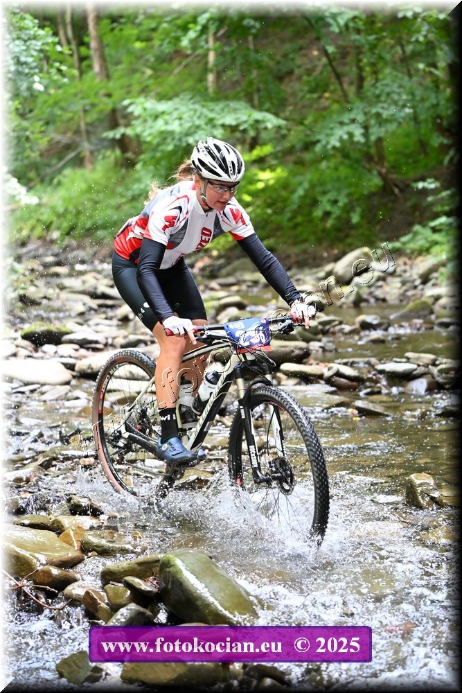 Náhled obrázku: 2025-1822-Celadna-236.JPG