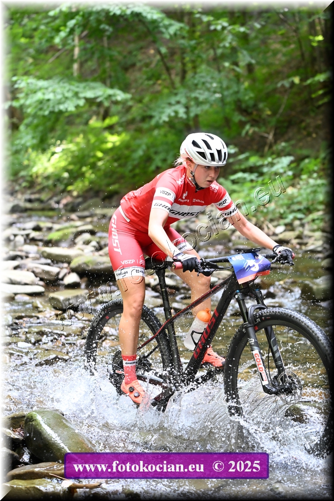 Náhled obrázku: 2025-1825-Celadna-5.JPG