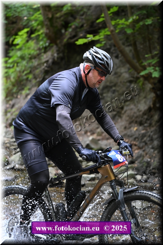 Náhled obrázku: 2025-1955-Celadna-81.JPG