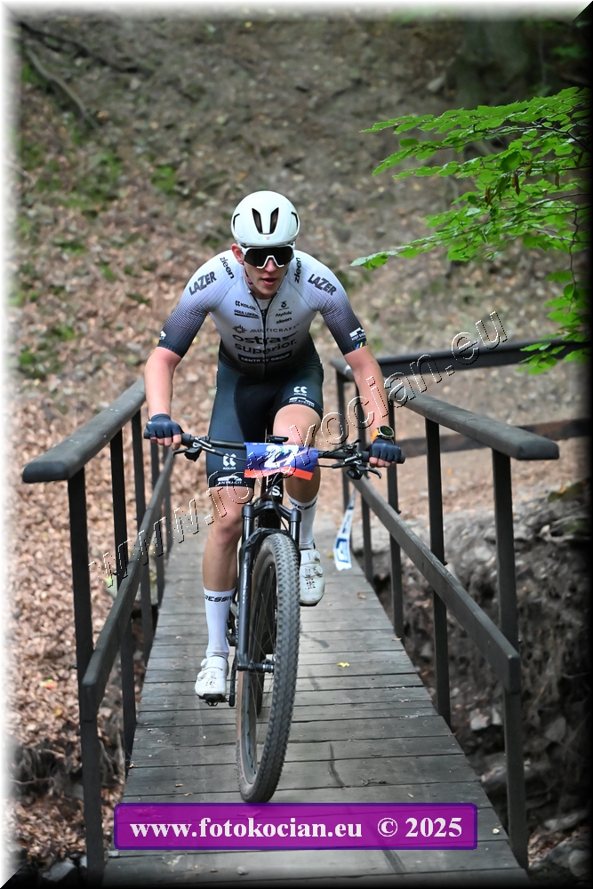 Náhled obrázku: 2025-1962-Celadna-27.JPG