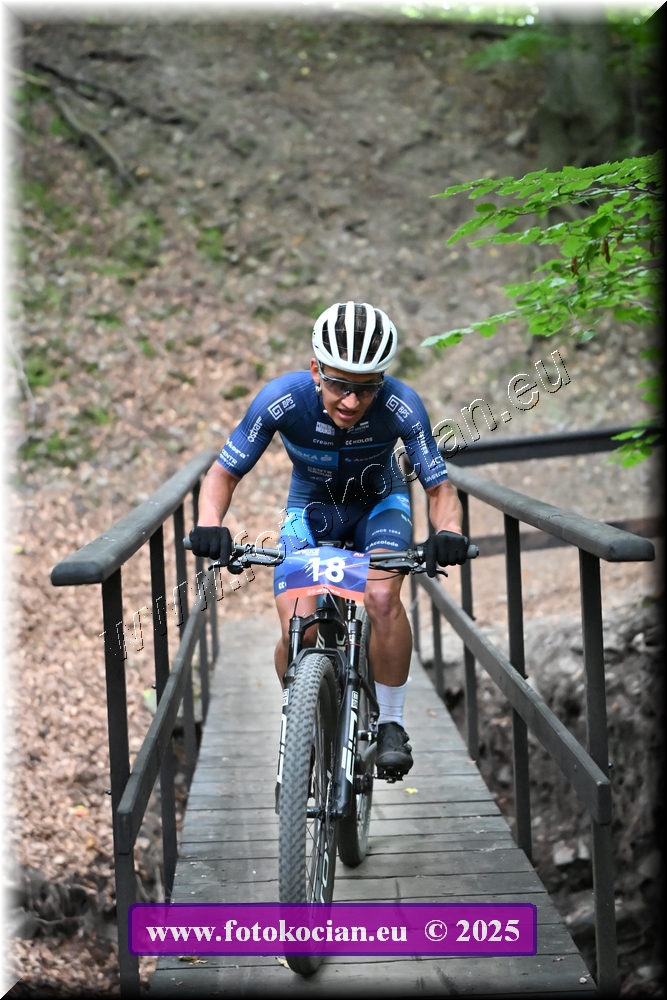 Náhled obrázku: 2025-1966-Celadna-18.JPG