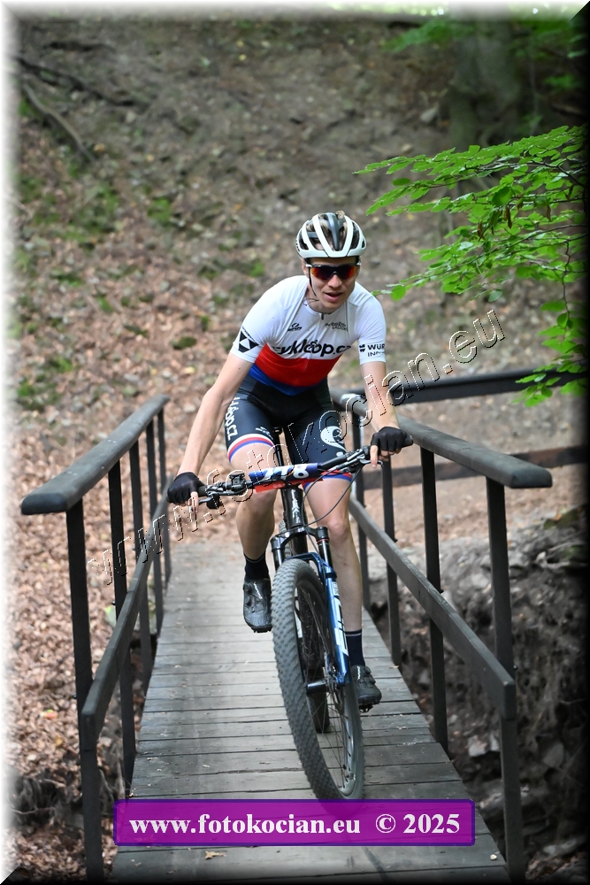 Náhled obrázku: 2025-1974-Celadna-278.JPG