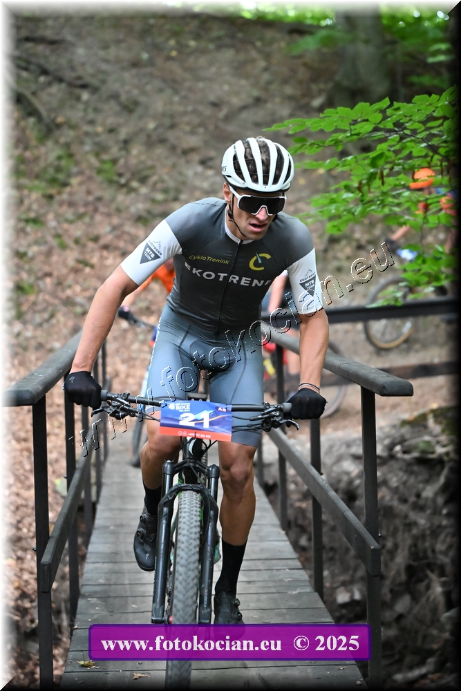 Náhled obrázku: 2025-1976-Celadna-21.JPG