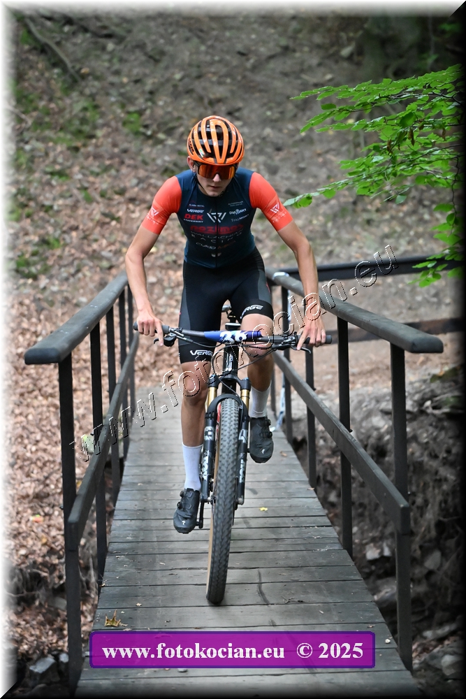 Náhled obrázku: 2025-1981-Celadna-36.JPG