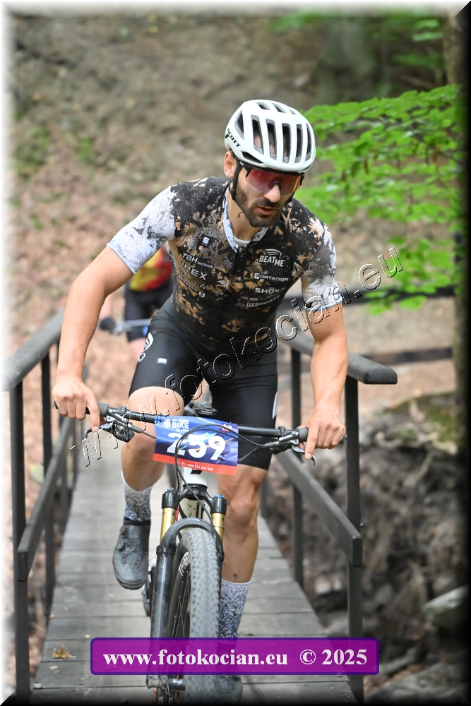 Náhled obrázku: 2025-2001-Celadna-259.JPG