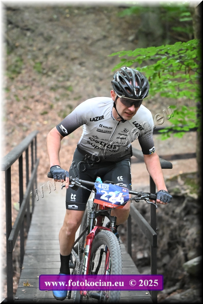 Náhled obrázku: 2025-2003-Celadna-224.JPG