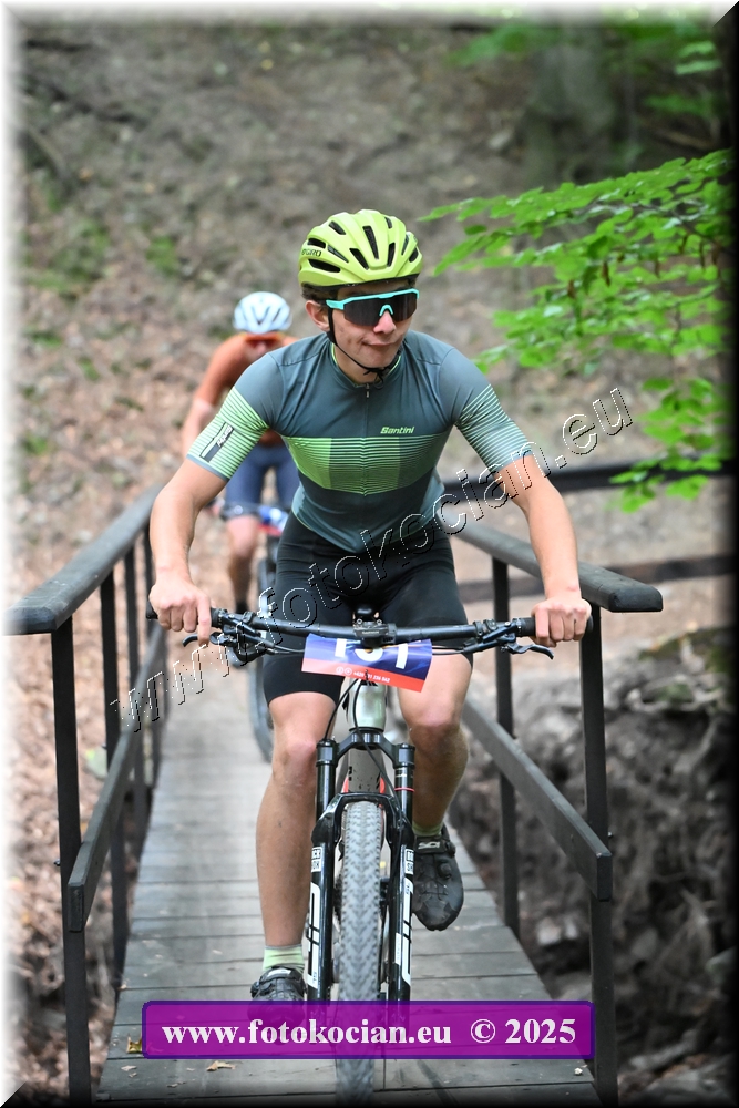 Náhled obrázku: 2025-2004-Celadna-151.JPG