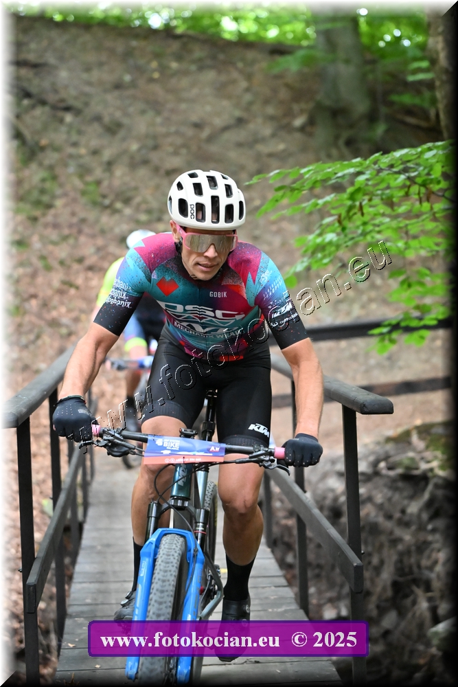 Náhled obrázku: 2025-2012-Celadna-0.JPG