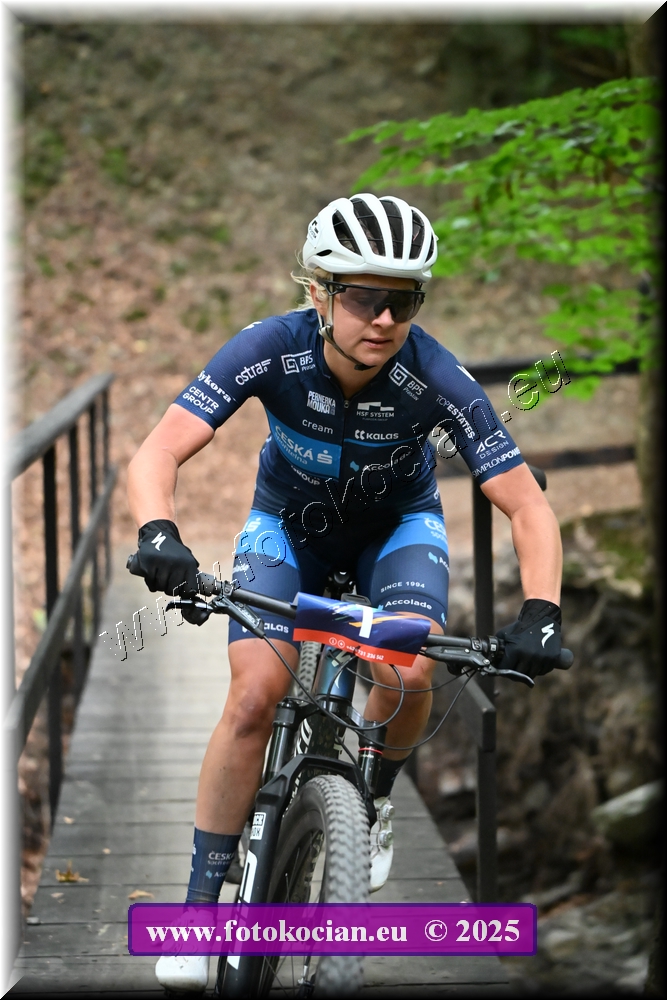 Náhled obrázku: 2025-2019-Celadna-1.JPG