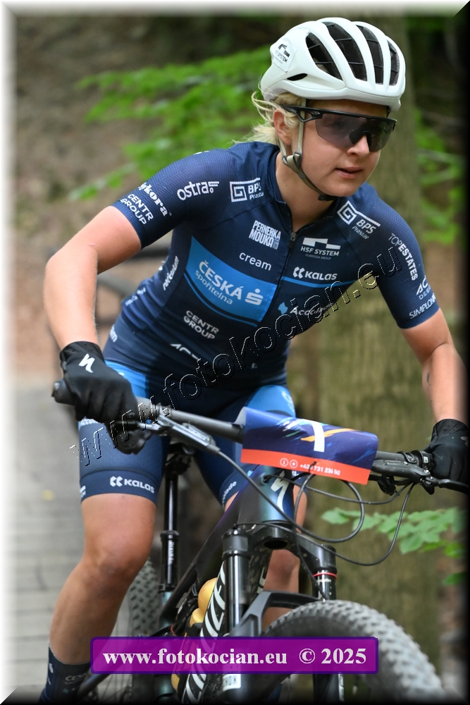 Náhled obrázku: 2025-2020-Celadna-1.JPG