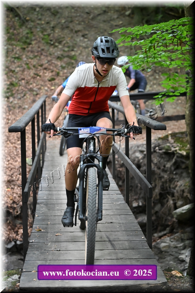 Náhled obrázku: 2025-2060-Celadna-0.JPG