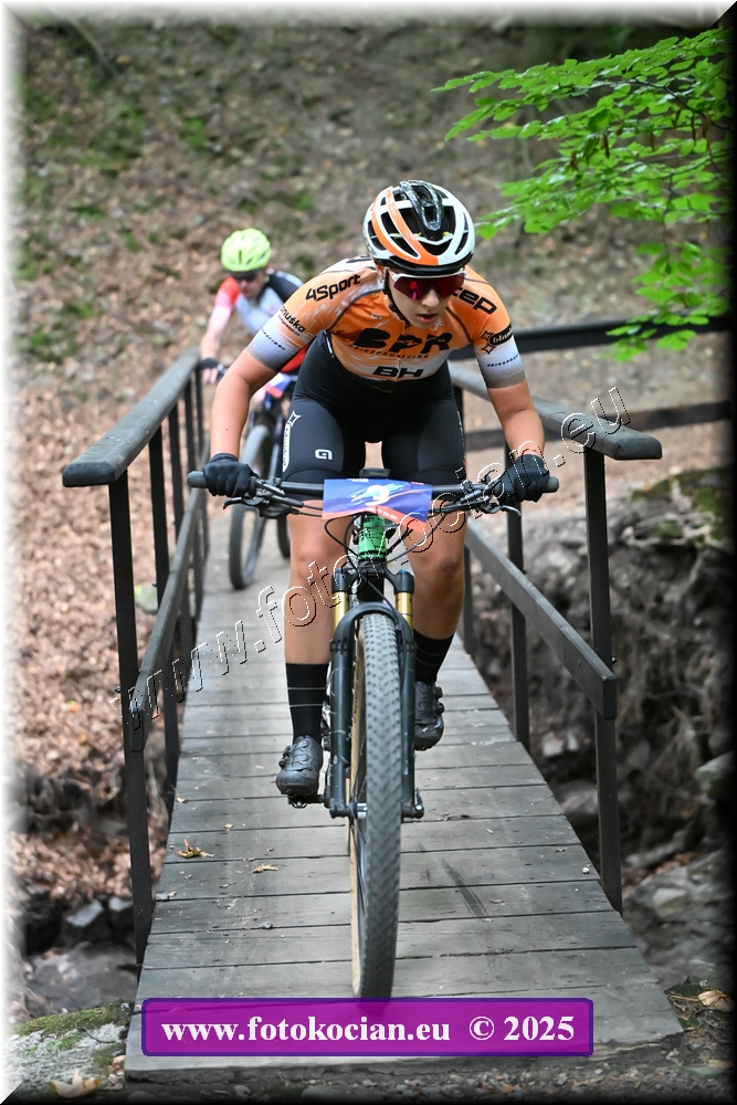 Náhled obrázku: 2025-2087-Celadna-3.JPG