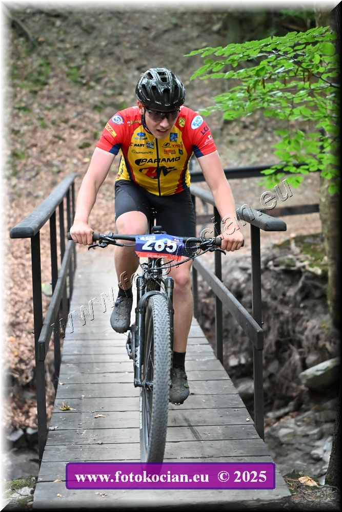 Náhled obrázku: 2025-2093-Celadna-265.JPG