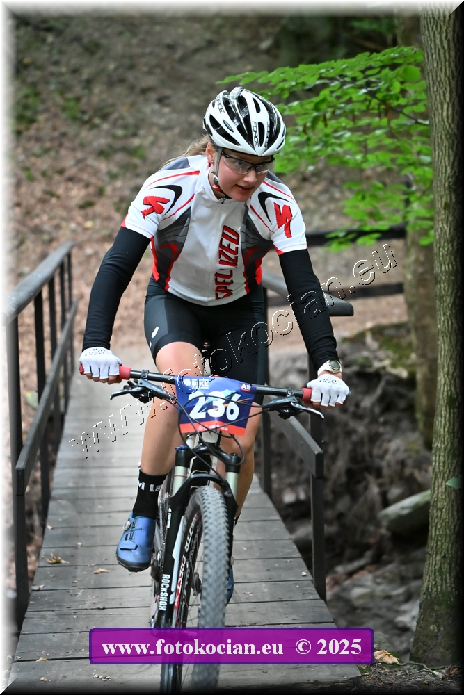 Náhled obrázku: 2025-2111-Celadna-236.JPG