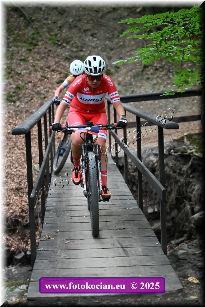 Náhled obrázku: 2025-2114-Celadna-4.JPG