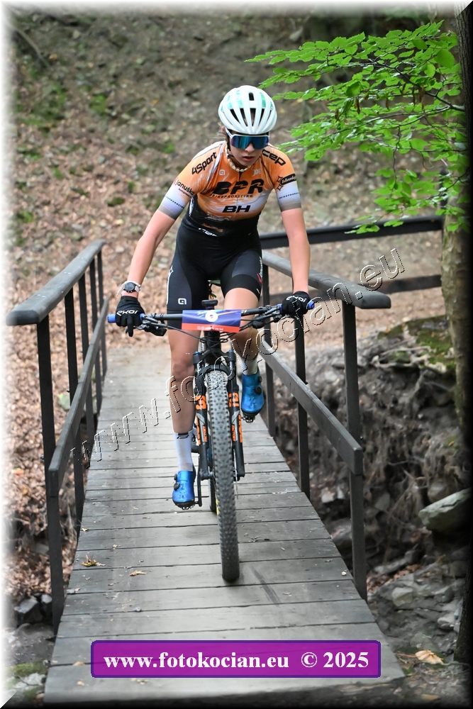 Náhled obrázku: 2025-2116-Celadna-6.JPG