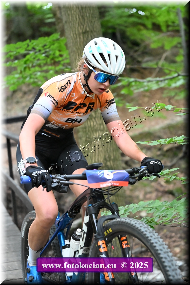 Náhled obrázku: 2025-2117-Celadna-6.JPG