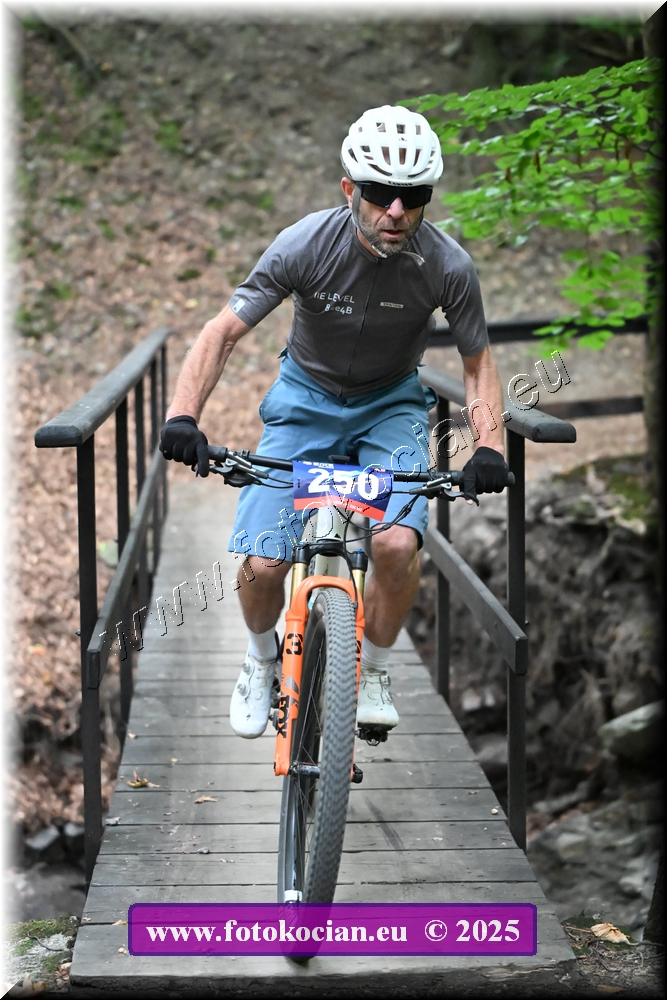 Náhled obrázku: 2025-2126-Celadna-250.JPG