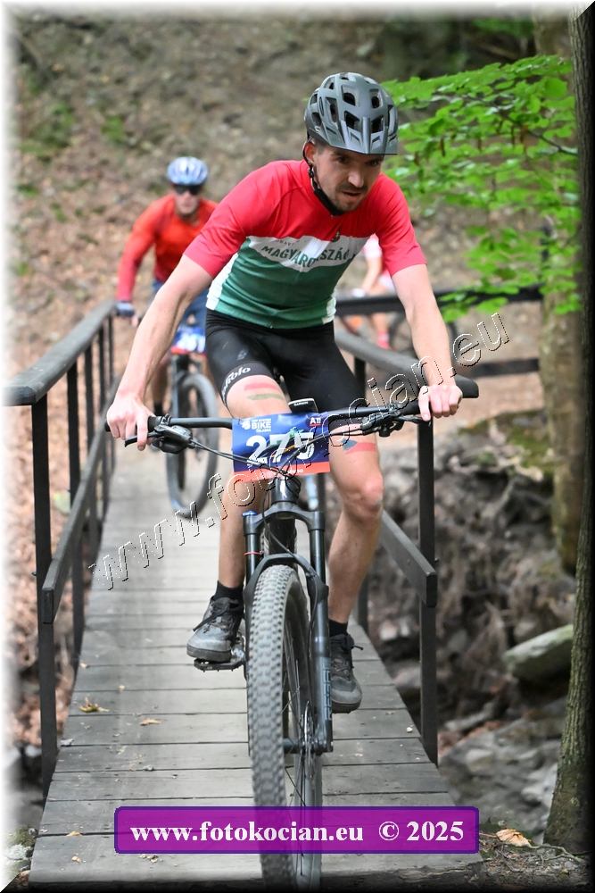 Náhled obrázku: 2025-2132-Celadna-275.JPG