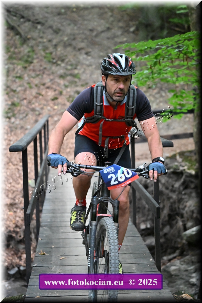 Náhled obrázku: 2025-2159-Celadna-260.JPG