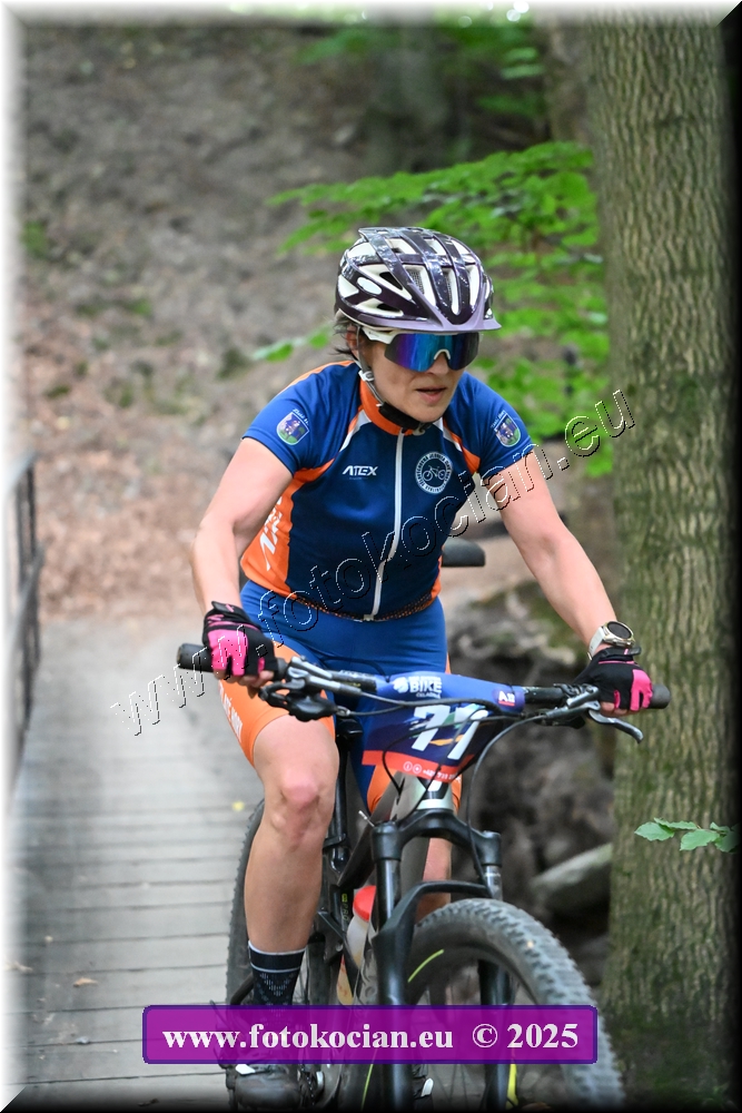 Náhled obrázku: 2025-2162-Celadna-77.JPG