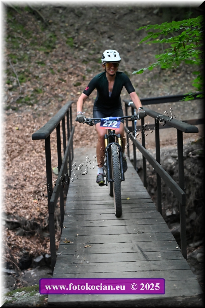 Náhled obrázku: 2025-2169-Celadna-272.JPG