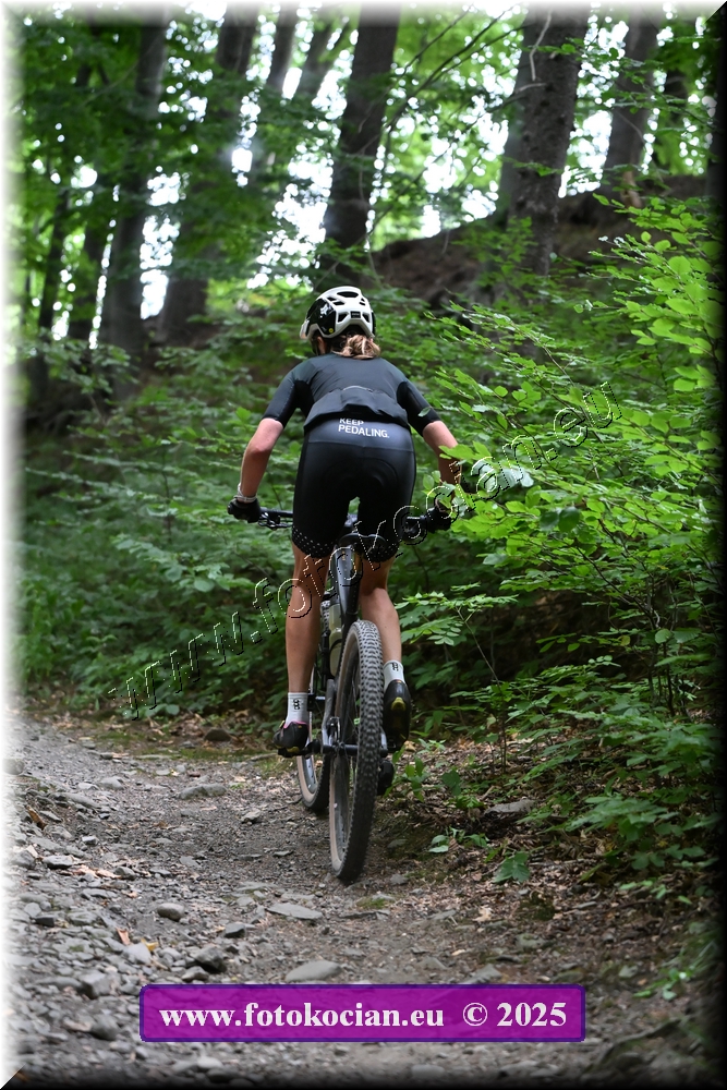 Náhled obrázku: 2025-2171-Celadna-272.JPG