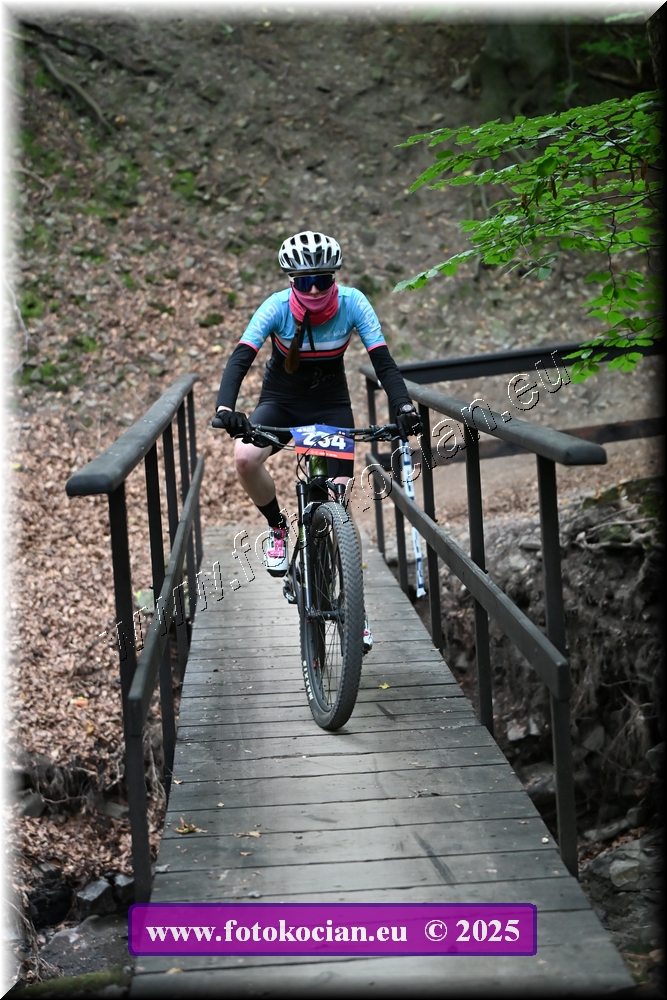 Náhled obrázku: 2025-2211-Celadna-234.JPG