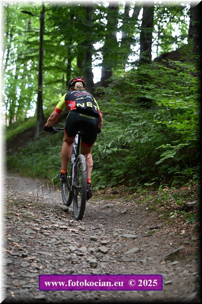 Náhled obrázku: 2025-2218-Celadna-82.JPG