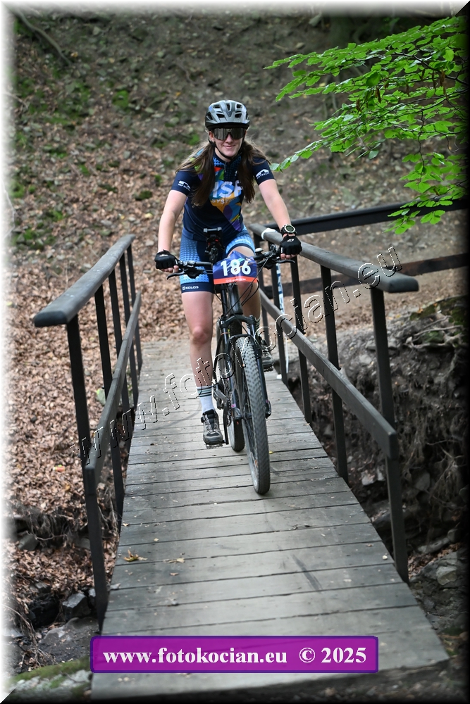 Náhled obrázku: 2025-2250-Celadna-186.JPG