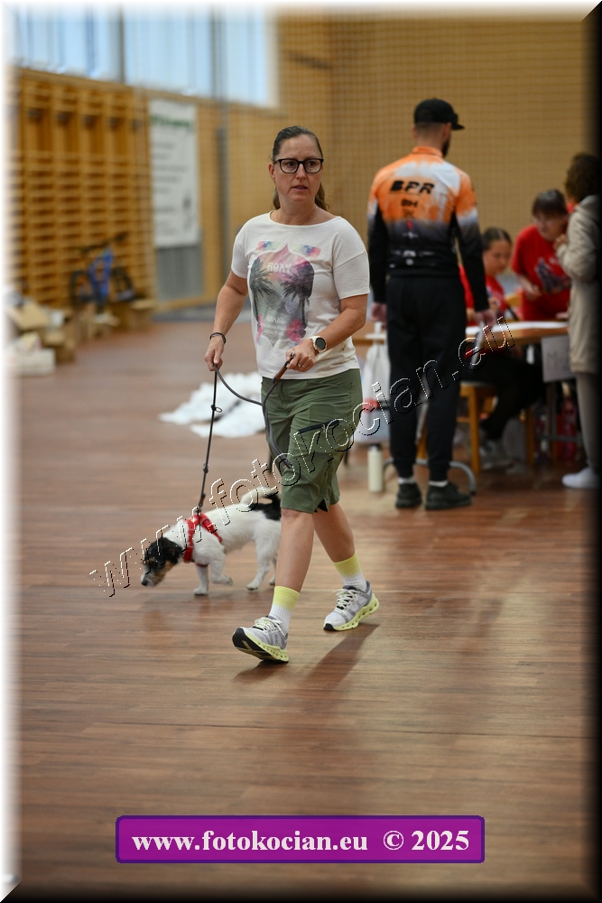 Náhled obrázku: 2025-4435-Celadna-.JPG