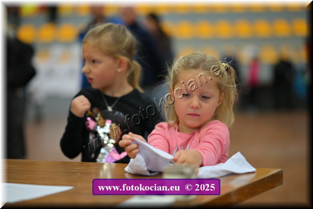 Náhled obrázku: 2025-4447-Celadna-.JPG