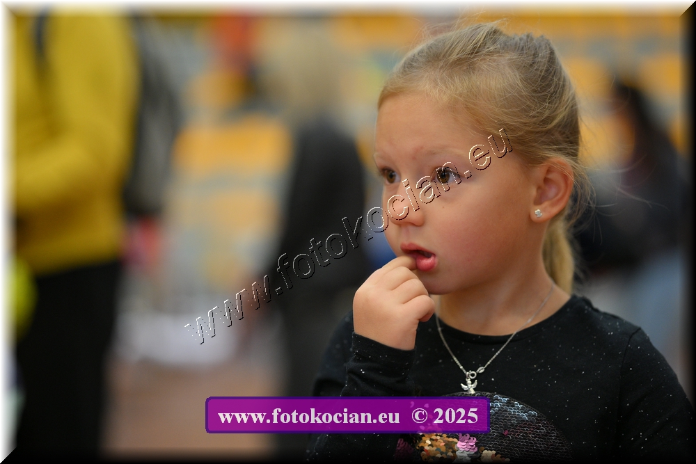 Náhled obrázku: 2025-4454-Celadna-.JPG