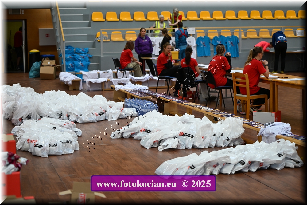 Náhled obrázku: 2025-5003-Celadna-.JPG