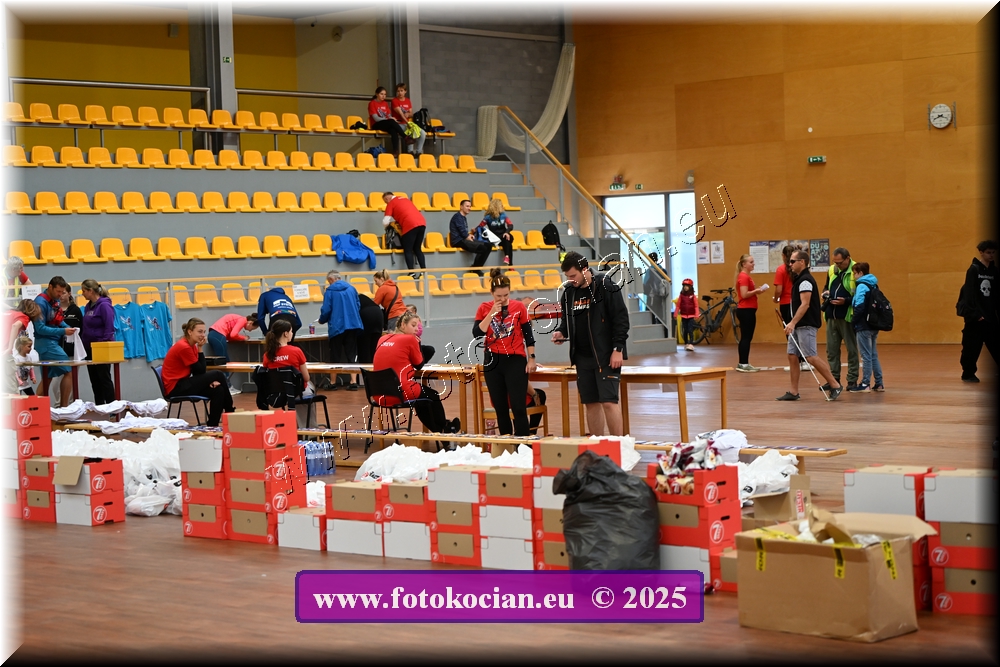 Náhled obrázku: 2025-5005-Celadna-.JPG