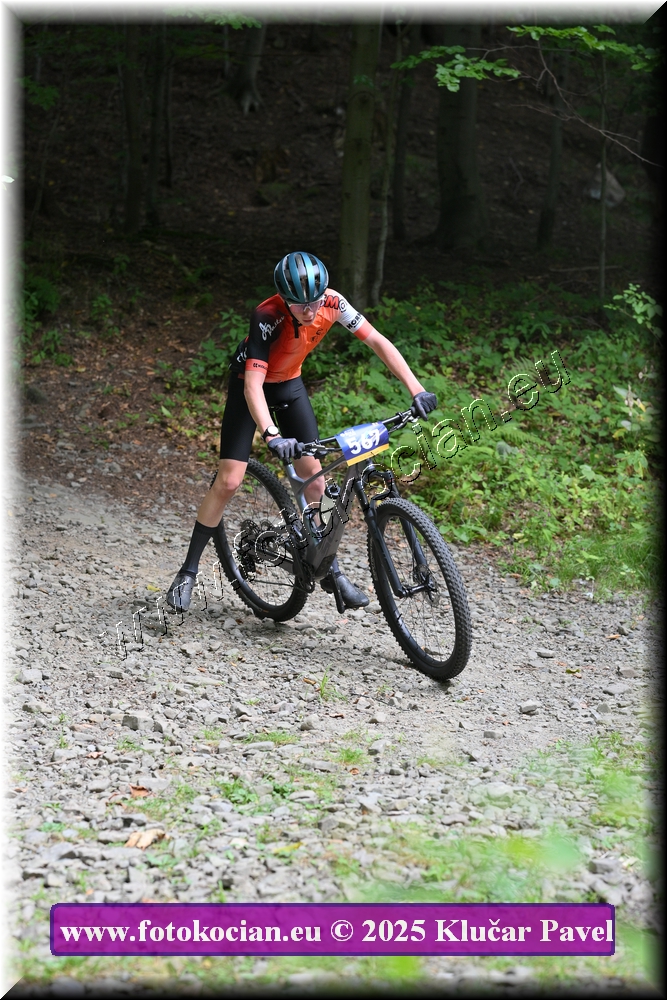 Náhled obrázku: 2025-3475-Celadna-567.JPG