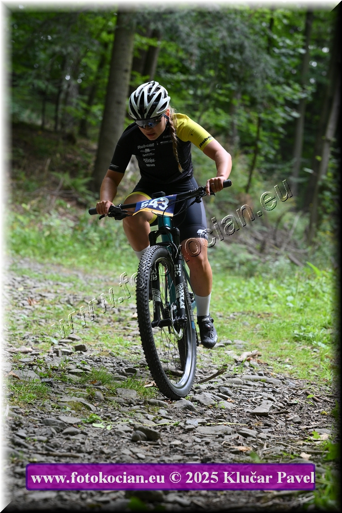 Náhled obrázku: 2025-3510-Celadna-543.JPG