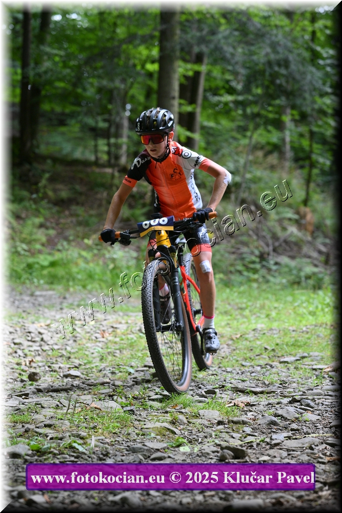 Náhled obrázku: 2025-3515-Celadna-606.JPG