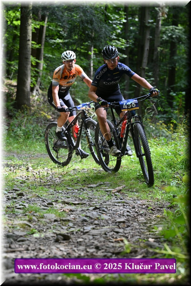 Náhled obrázku: 2025-3517-Celadna-436.JPG