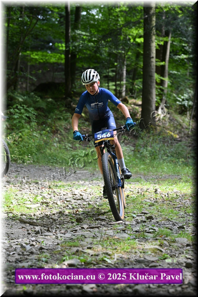 Náhled obrázku: 2025-3524-Celadna-546.JPG