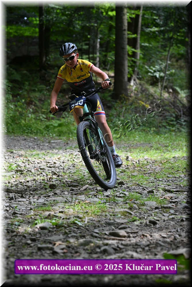 Náhled obrázku: 2025-3531-Celadna-540.JPG