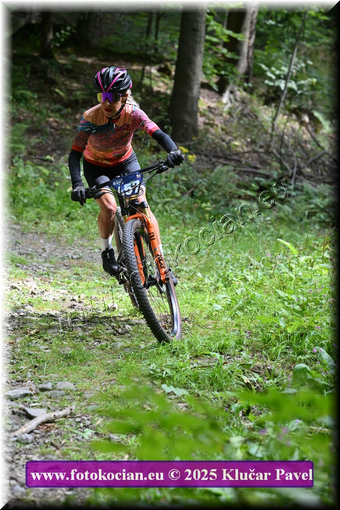 Náhled obrázku: 2025-3532-Celadna-457.JPG