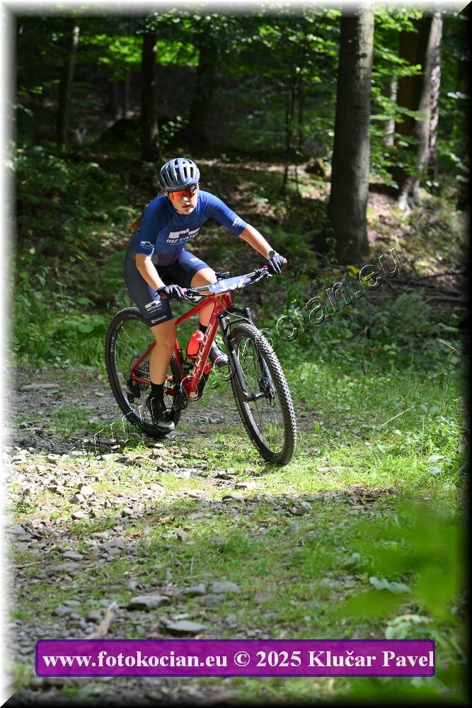 Náhled obrázku: 2025-3541-Celadna-0.JPG