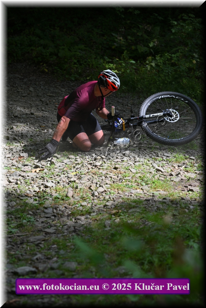 Náhled obrázku: 2025-3546-Celadna-458.JPG